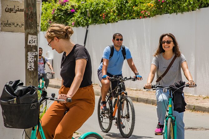 Group Guided Bike Tour of Carthage Archeological Site in Tunisia - Carthage on a Bike: Why This Works