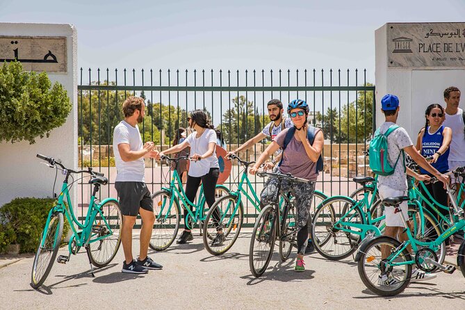 Group Guided Bike Tour of Carthage Archeological Site in Tunisia - Stop 4: Roman Theatre of Carthage (20 Minutes, Ticket Included)