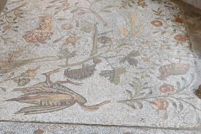 Guided Bike Tour of Carthage Archeological Site in Tunisia - Stop 1: Tophet de Carthage and the Punic sanctuary you can’t ignore