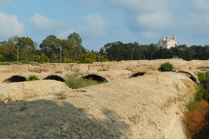 Guided Bike Tour of Carthage Archeological Site in Tunisia - Price and value: what $91.89 gets you in practice