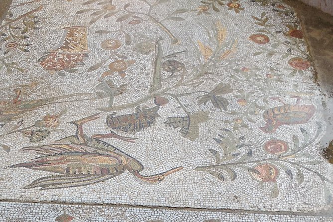 Guided Bike Tour of Carthage Archeological Site in Tunisia - Stop 1: Tophet de Carthage and the Punic sanctuary you can’t ignore