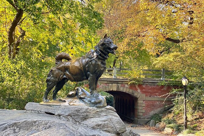 Guided Central Park Bike Tour 2 Hours - Bikes, helmets, and the reality of Central Park riding