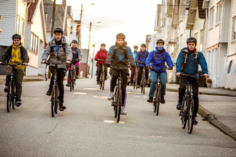Guided E-Bike Tour in Haugesund: city, vikings, Rising Tides - Key highlights that make this tour worth your time