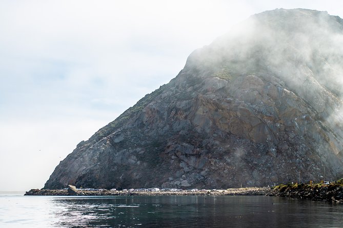 Guided E-Bike Tour of Morro Bay - Stop 2: Estero Bay wildlife time for sea lions and sea otters