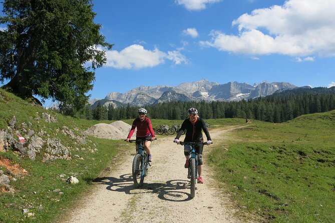 Guided e-bike tour of the alpine pastures in the Salzkammergut - Riding Alpine Pastures Around Hallstatt on an E-Bike Path