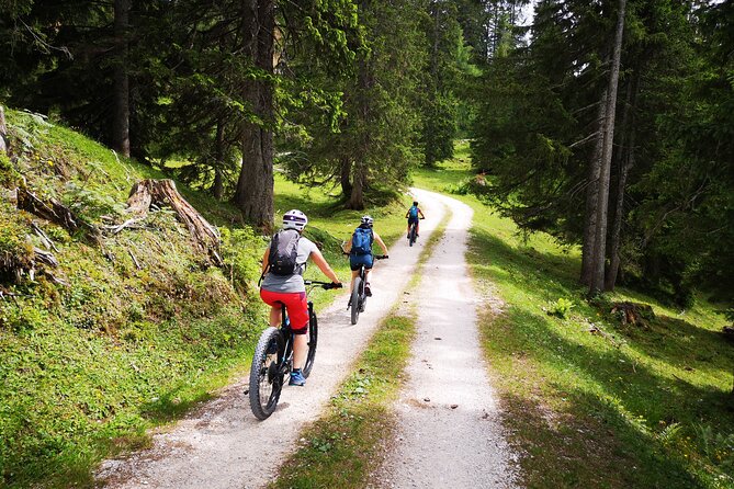 Guided e-bike tour of the alpine pastures in the Salzkammergut - Iglmoosalm and the First Big View Moment