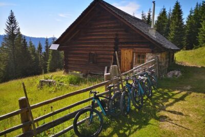 Guided e-bike tour of the alpine pastures in the Salzkammergut - Start Point in Gosau: What to Expect at 10:00 AM