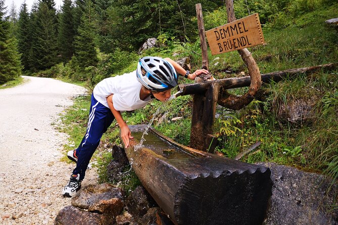 Guided e-bike tour of the alpine pastures in the Salzkammergut - Hallstatt-Dachstein–Salzkammergut Cultural Stops Without Losing Time