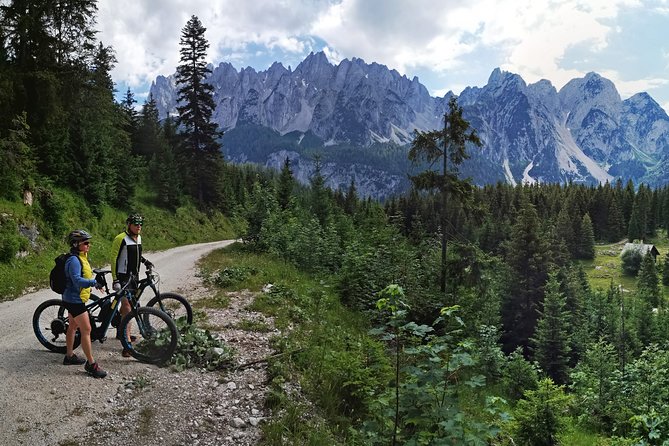 Guided e-bike tour of the alpine pastures in the Salzkammergut - Gosauseen: The End-Point View You’ll Be Happy You Rode For