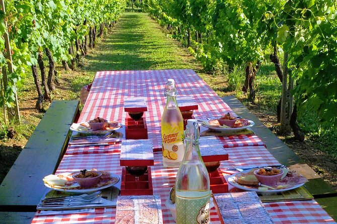 Guided E-Bike Tour with Wine Tasting from Lucca - Key highlights worth putting on your radar