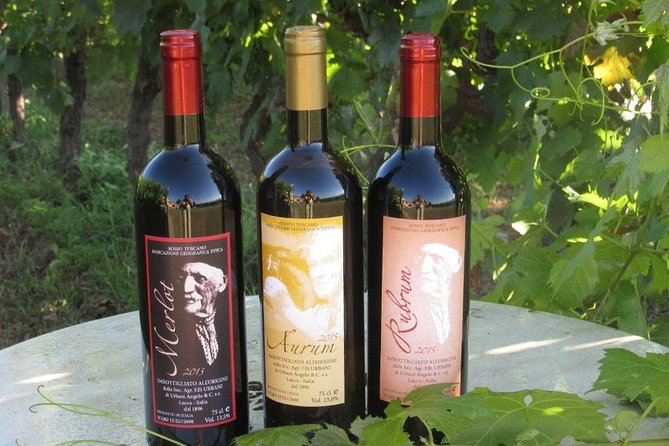 Guided E-Bike Tour with Wine Tasting from Lucca - Winery tour and wine tasting: what you’ll actually do