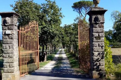 Guided E-Bike Tour with Wine Tasting from Lucca - Riding Lucca’s historic walls: the best part, paced right