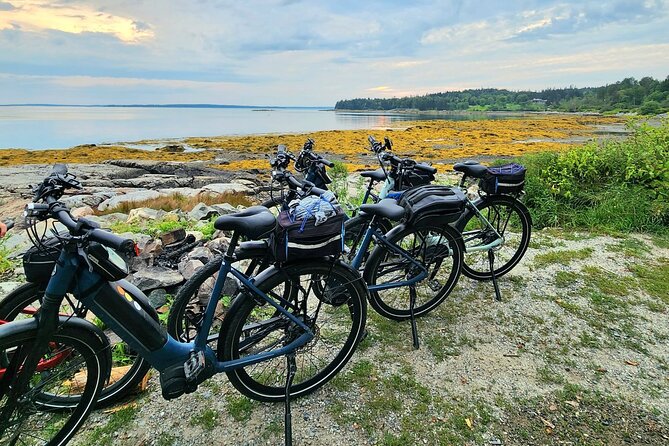 Guided Ebike Tour of Acadia National Park Carriage Roads - Eagle Lake: Quiet Water, Real Geology Conversations