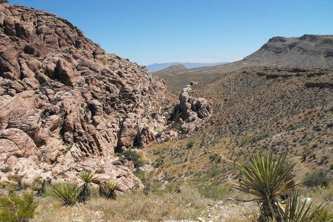 Guided Mountain Bike Tour of Mustang Trail in Red Rock Canyon - From Las Vegas Strip to Dirt Fast