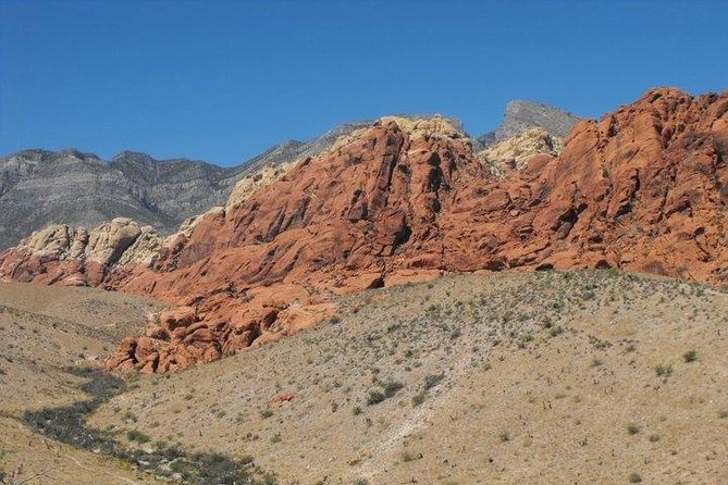 Guided Mountain Bike Tour of Mustang Trail in Red Rock Canyon - Route Breakdown: What Happens During the Half Day