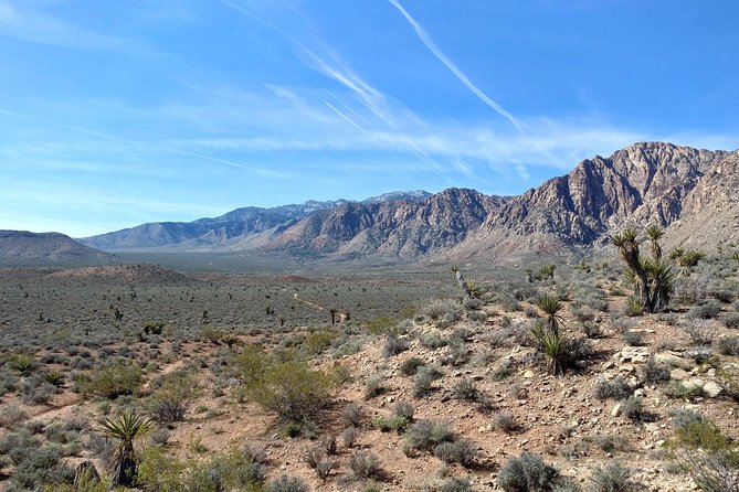 Guided Mountain Bike Tour of Mustang Trail in Red Rock Canyon - Ride Difficulty: Who This Suits Best