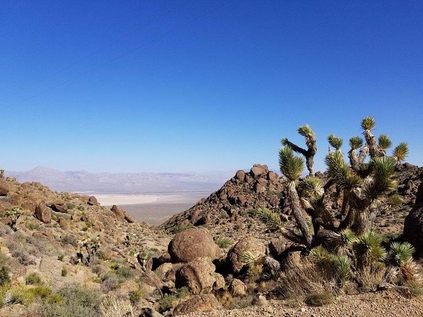 Guided or Self-Guided Road Bike Tour of Red Rock Canyon - A Quick Escape From the Las Vegas Strip to Red Rock Canyon