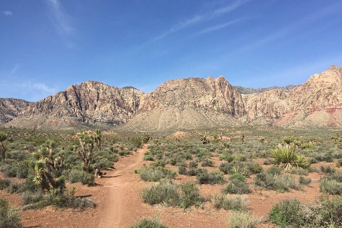 Guided or Self-Guided Road Bike Tour of Red Rock Canyon - Red Rock Canyon: What You’ll See and Why the Route Works