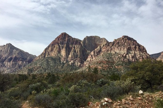 Guided or Self-Guided Road Bike Tour of Red Rock Canyon - Bike Choices: Gary Fisher Hybrid vs Tarmac or Roubaix Road Bikes