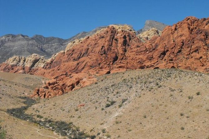 Guided or Self-Guided Road Bike Tour of Red Rock Canyon - The Most Praised Parts: People, Service, and the “Escaped Vegas” Feeling