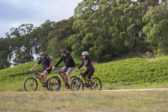 Hahndorf food and wine E-Bike Tour - Key points to know before you go