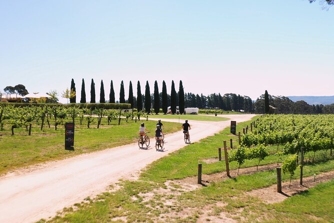 Hahndorf food and wine E-Bike Tour - Udder Delights cheese cellar: the flavor stop that makes the tour feel local
