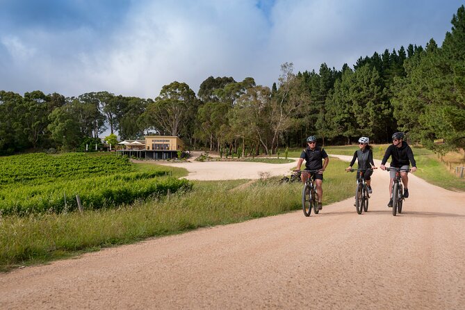 Hahndorf food and wine E-Bike Tour - Shaw and Smith winery flight: five pours, plus a view break