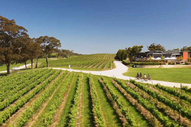 Hahndorf food and wine E-Bike Tour - The Lane Vineyard finale: Taste the Lane and turn in the bikes