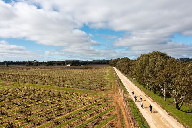 Hahndorf food and wine E-Bike Tour - Beerenberg strawberry picking: sweet, seasonal, and very Adelaide Hills