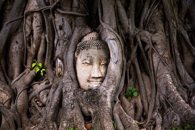 Half-Day Ayutthaya City Cultural Bike Tour - Key highlights at a glance