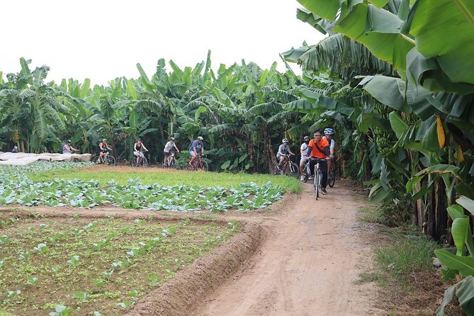 Half-Day Bicycle Tour Combine City & Countryside + Train Street - Entering Hanoi on a mountain bike (and why that matters)