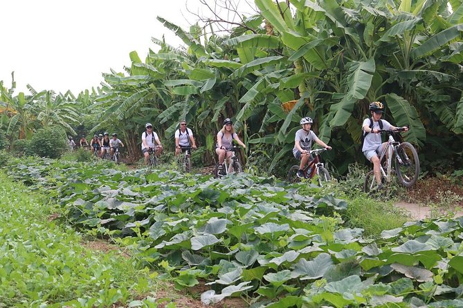 Half-Day Bicycle Tour Combine City & Countryside + Train Street - Food and the little breaks that keep you going