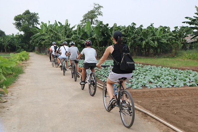 Half-Day Bicycle Tour Combine City & Countryside + Train Street - How the guides shape the experience