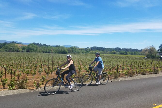 Half Day Bike Tour - Key highlights