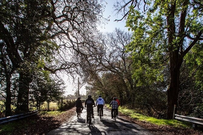 Half Day Bike Tour - Buena Vista Winery: the oldest winery stop and the 1-hour focus