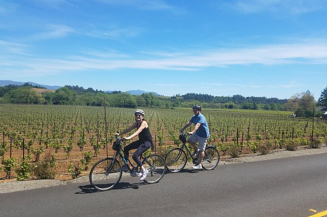 Half Day Bike Tour - Figone Olive Oil Company: a free 30-minute tasting break