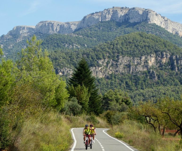 Half-Day Bike Tour from Salou - Why This Downhill Bike Tour Works So Well From Salou