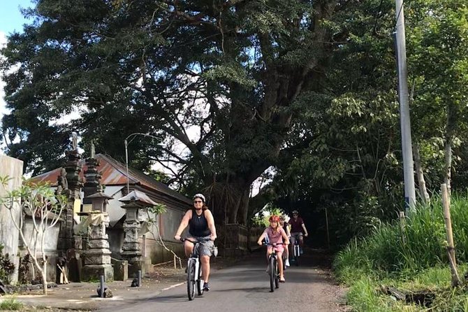 Half Day Cycling Tour ( Manual Bike ) - Price and logistics: what $33 actually buys