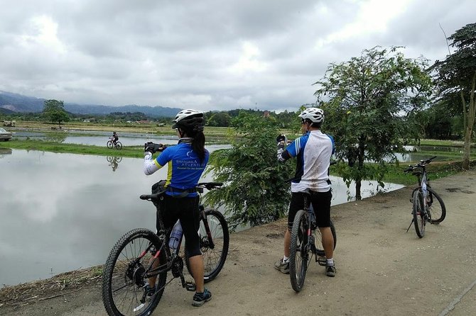 Half Day Cycling Tour to the White temple - Getting Fitted: 24-Gear Bikes and Helmets on Day One