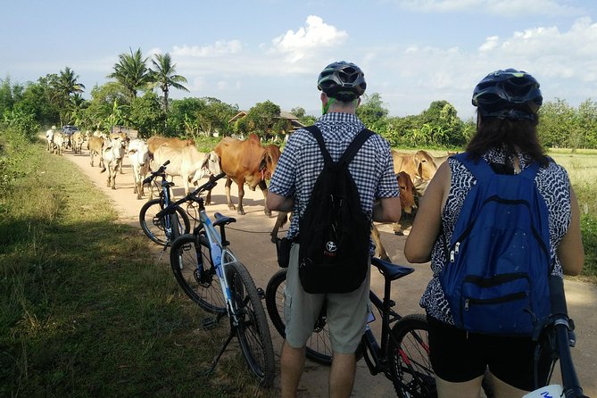 Half Day Cycling Tour to the White temple - Included Lunch and Snacks: The Comfort Piece You’ll Appreciate