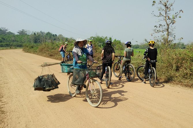 Half Day Cycling Tour to the White temple - The White Temple Visit: Wat Rong Khun in One Focused Hour