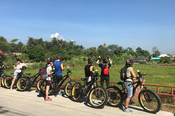 Half-day E-bike Countryside and rice paddies (flat land, GUIDED) - Chiang Mai Countryside on an E-Bike (Not a Long, Stressy Day)