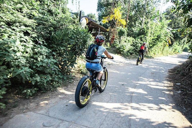 Half-day E-bike Countryside and rice paddies (flat land, GUIDED) - Price and Value: What $50.52 Buys You in Real Time