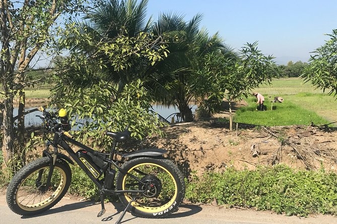Half-day E-bike Countryside and rice paddies (flat land, GUIDED) - Final Call: Should You Book Buzzy Bee Bike’s Rice Paddies E-Bike Ride?