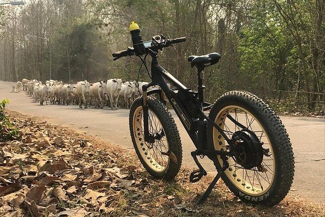 Half-day E-bike Nam Phrae (hilly, fully paved roads, GUIDED) - The ride itself: hilly, guided, mostly paved