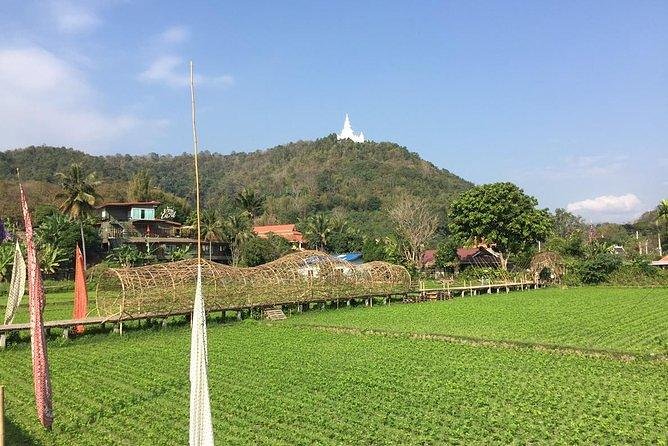 Half-day E-bike Nam Phrae (hilly, fully paved roads, GUIDED) - Morning versus afternoon: how to pick your best fit