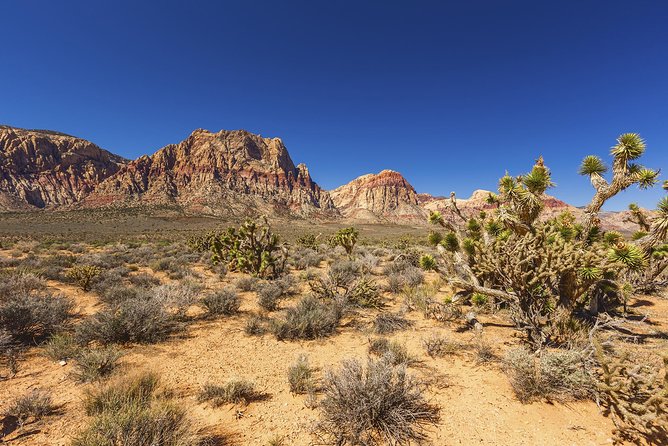 Half-Day Electric Bike Tour of Red Rock Canyon - Why This Red Rock E-Bike Tour Feels Like a Real Upgrade From the Strip