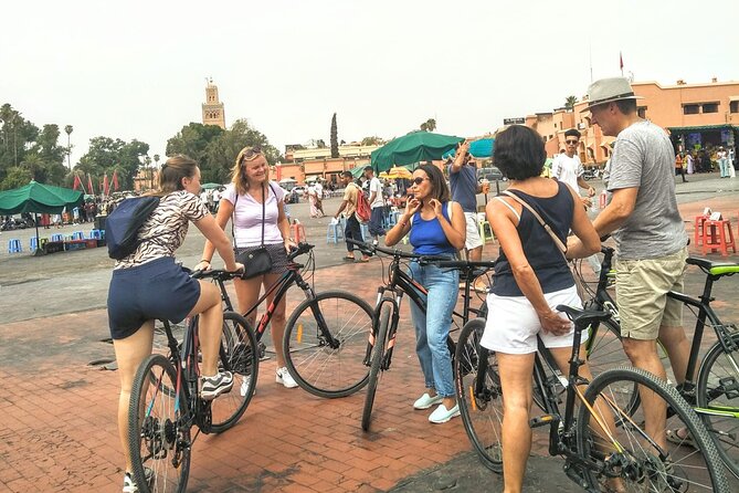 Half-Day Highlights of Marrakesh Bike Tour - Stop 4: Menara Gardens and the High Atlas Framing Trick