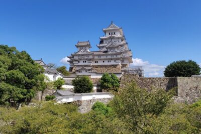 Half-day Himeji Castle Town Bike Tour with Lunch - The 300-Year Sweets Stop and Tamatsubaki Flavor Memory