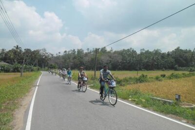 Half-Day Lagoon and Village Cycling Tour in Galle - Lagoons and mangroves: where the wildlife spotting actually makes sense